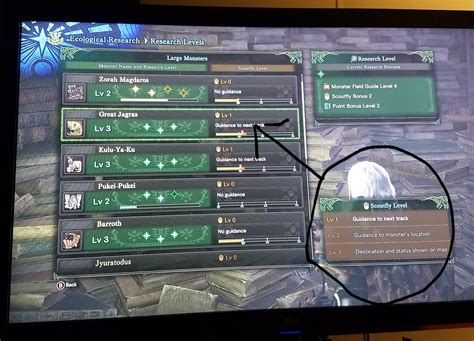 scoutfly level